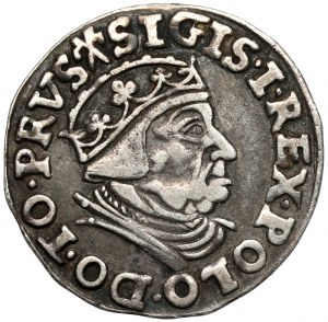 Zygmunt I Stary, Trojak Gdańsk 1539
