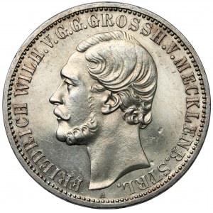 Mecklenburg-Strelitz, Friedrich Wilhelm, Talar 1870