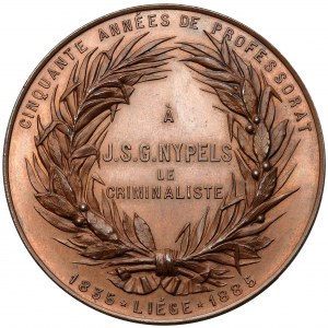 Belgia, Medal 1885 - J.S.G. Nypels