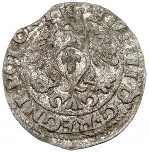 Zygmunt III Waza, Szeląg Bydgoszcz 1613 - BŁĘDNA tytulatura