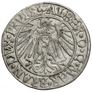 Prusy, Albrecht Hohenzollern, Grosz Królewiec 1541 - szeroka broda