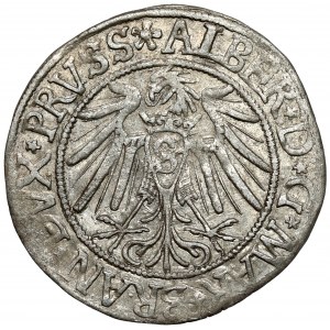 Prusy, Albrecht Hohenzollern, Grosz Królewiec 1539