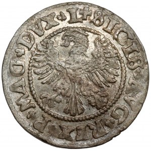 Zygmunt II August, Półgrosz Wilno 1546 - owalna - LITV