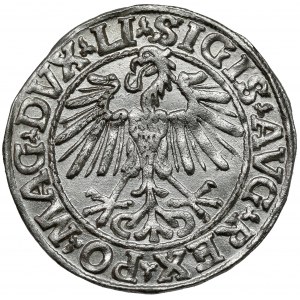 Zygmunt II August, Półgrosz Wilno 1548 - rzymska