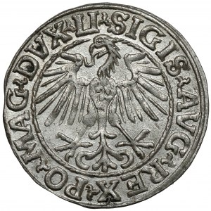 Zygmunt II August, Półgrosz Wilno 1548 - arabska