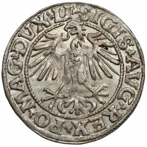 Zygmunt II August, Półgrosz Wilno 1549 - piękny