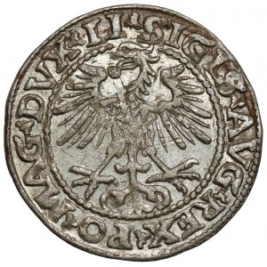 Zygmunt II August, Półgrosz Wilno 1552