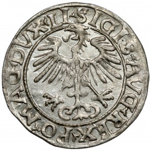 Zygmunt II August, Półgrosz Wilno 1556