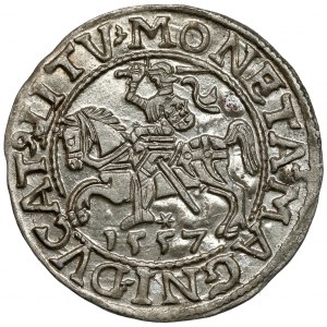 Zygmunt II August, Półgrosz Wilno 1557 - LITV
