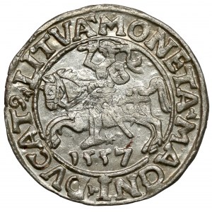 Zygmunt II August, Półgrosz Wilno 1557 - L / LITVA