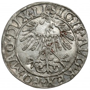 Zygmunt II August, Półgrosz Wilno 1558 - LI / LITV