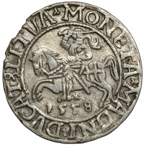 Zygmunt II August, Półgrosz Wilno 1558 - LI / LITVA