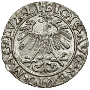 Zygmunt II August, Półgrosz Wilno 1559 - LI/LITVA