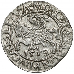Zygmunt II August, Półgrosz Wilno 1559 - L/LITVA