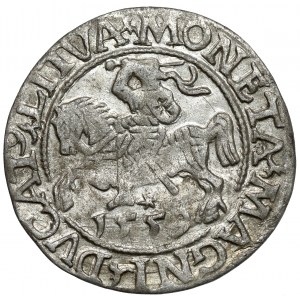 Zygmunt II August, Półgrosz Wilno 1559 - AVG bez belki