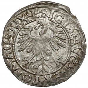 Zygmunt II August, Półgrosz Wilno 1560