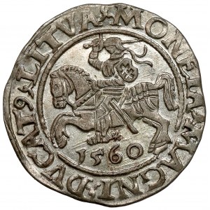 Zygmunt II August, Półgrosz Wilno 1560 - znakomity