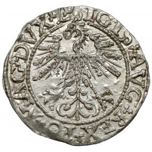 Zygmunt II August, Półgrosz Wilno 1561
