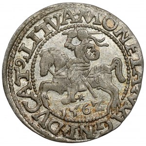 Zygmunt II August, Półgrosz Wilno 1562 - wczesny - piękny