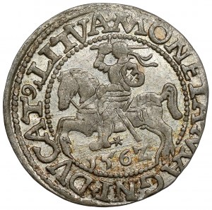 Zygmunt II August, Półgrosz Wilno 1562 - wczesny - piękny