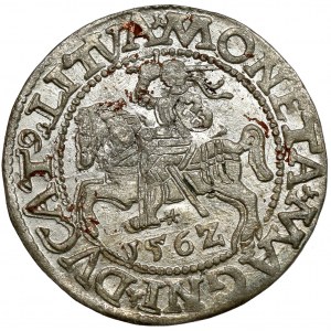 Zygmunt II August, Półgrosz Wilno 1562 - wczesny