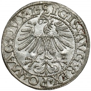 Zygmunt II August, Półgrosz Wilno 1562 - wczesny