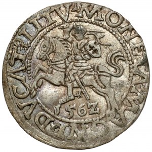 Zygmunt II August, Półgrosz Wilno 1562 - późny