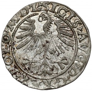 Zygmunt II August, Półgrosz Wilno 1563