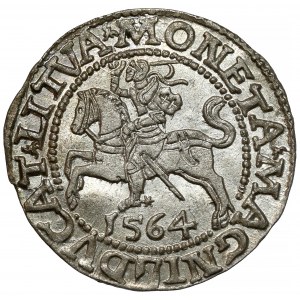 Zygmunt II August, Półgrosz Wilno 1564 - piękny