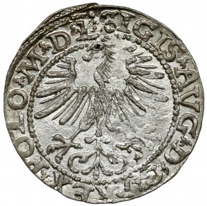 Zygmunt II August, Półgrosz Wilno 1564 - piękny