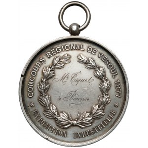 France, Medal Exposition Industrielle 1877