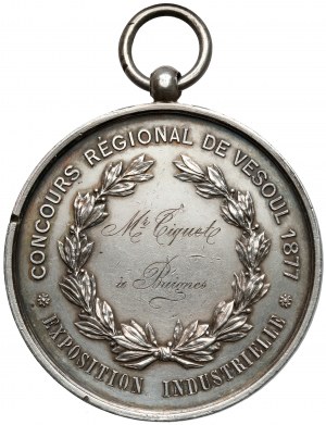 France, Medal Exposition Industrielle 1877