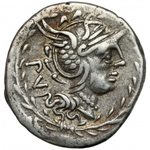 Roman Republic, M. Lucilius Rufus (101 BC) AR Denarius
