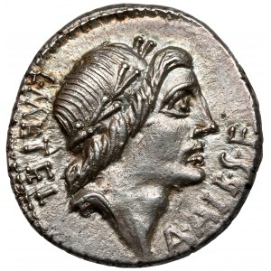 Roman Republic, C. Poblicius Malleolus, A. Postumius Sp. f. Albinus i L. Metellus AR (96 BC) AR Denarius