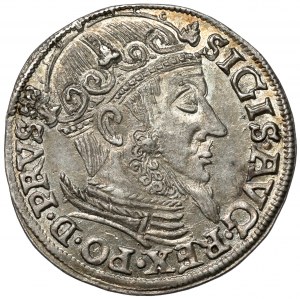 Zygmunt II August, Trojak Gdańsk 1557 - piękny i rzadki