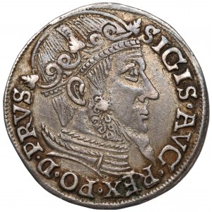 Zygmunt II August, Trojak Gdańsk 1557 - z lilijkami