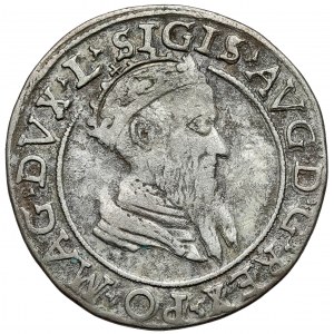Zygmunt II August, Czworak Wilno 1569 - tarcze z wcięciem