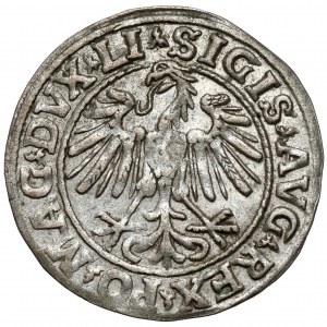 Zygmunt II August, Półgrosz Wilno 1547