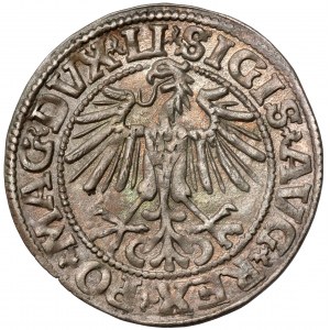 Zygmunt II August, Półgrosz Wilno 1549 - wygięta - LI