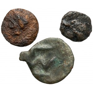 Grecja, Olbia i Istros, monety brązowe (3szt)
