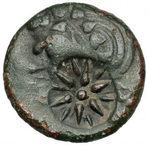 Grecja, Tracja / Chersonez, Pantikapajon (310-303 p.n.e.) AE20 - Kontrmarka