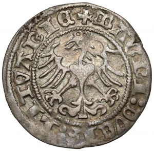 Zygmunt I Stary, Półgrosz Wilno 1513 - pełna data