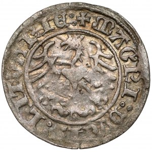 Zygmunt I Stary, Półgrosz Wilno 1516