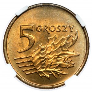 5 groszy 1999