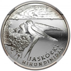 300.000 złotych 1993 Jaskółki