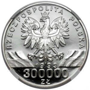 300.000 złotych 1993 Jaskółki