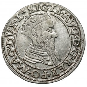 Zygmunt II August, Czworak Wilno 1566 - piękny