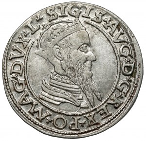 Zygmunt II August, Czworak Wilno 1566 - piękny