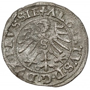 Prusy, Albrecht Hohenzollern, Szeląg Królewiec 1550
