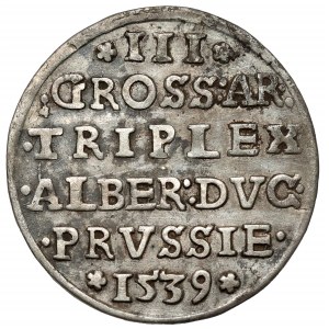 Prusy, Albrecht Hohenzollern, Trojak Królewiec 1539